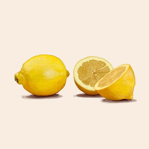 Dessin de citrons jaunes