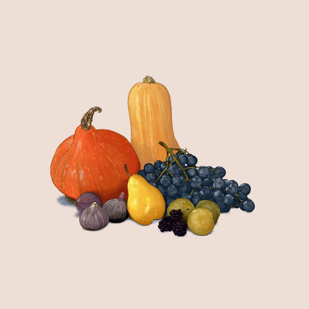 Dessin de fruits et légumes d'automne : courges, figues, poires, raisins, prunes, mûres