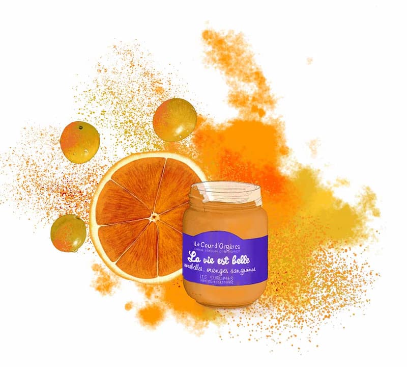 Dessin d'un pot de confiture aux mirabelles et orange sanguine
