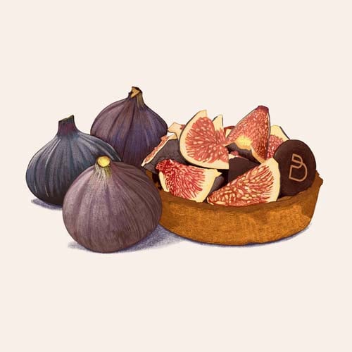 Dessin de tarte aux figues et figues fraîches