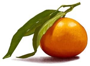 Picto mandarine