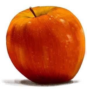Dessin de pomme